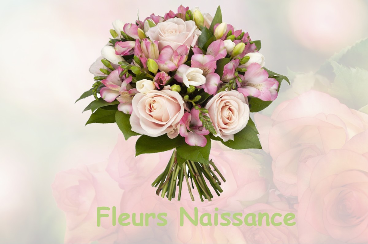 fleurs naissance AUTRUY-SUR-JUINE