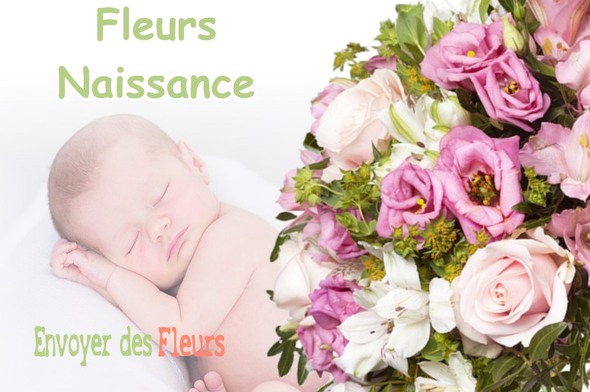 lIVRAISON FLEURS NAISSANCE à AUTRUY-SUR-JUINE